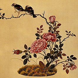 家紡 位圖 花卉 免費素材
