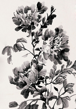 位圖 植物 花卉 優(yōu)雅植物 藝術(shù)效果 免費(fèi)素材