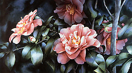 位圖 植物 花卉 優(yōu)雅植物 藝術(shù)效果 免費素材