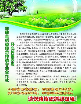農場宣傳單圖片