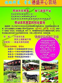 農場宣傳單圖片