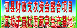 蔬菜 生產(chǎn)基地圖片