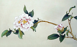 位圖 植物 花卉 優(yōu)雅植物 藝術效果 免費素材