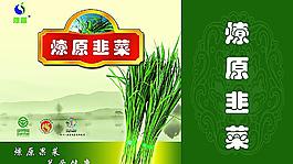 蔬菜包裝圖片