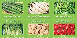 蔬菜图片