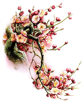 位图 植物 花卉 优雅植物 梅花 免费素材