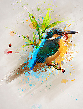位图 插画 插画师 Maciej Mizer 免费素材