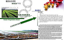 蔬菜基地畫冊圖片