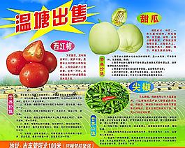 蔬菜水果圖片