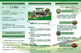 綠色農場宣傳頁圖片