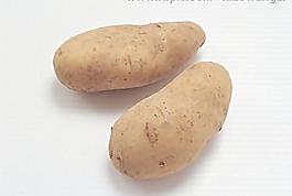 土豆圖片