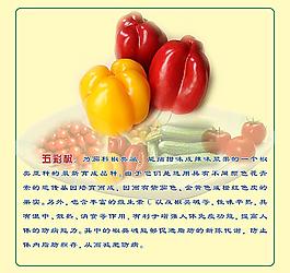 蔬菜介绍图片