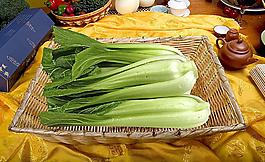 油菜图片