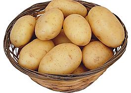 蔬菜圖片