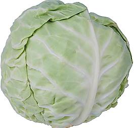 蔬菜圖片