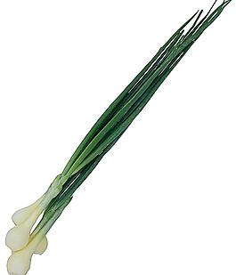 蔬菜圖片