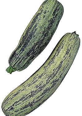 蔬菜圖片