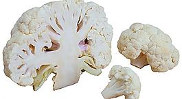 蔬菜圖片