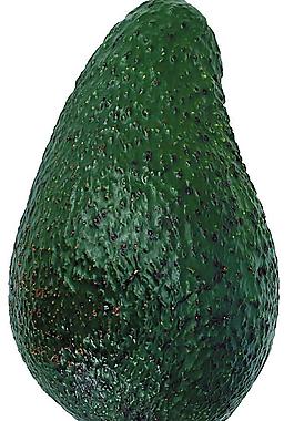 蔬菜圖片