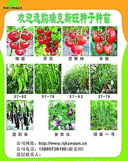 種苗圖片