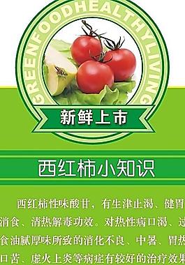 蔬菜圖片