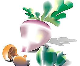 蔬菜圖片