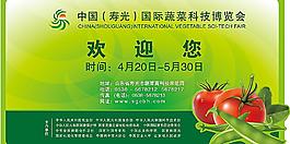 台卡图片