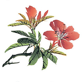位圖 植物 花卉 優(yōu)雅植物 藝術(shù)效果 免費(fèi)素材