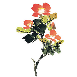 位圖 植物 花卉 優(yōu)雅植物 藝術(shù)效果 免費素材