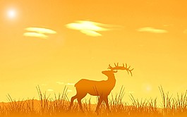夕陽(yáng)下的鹿