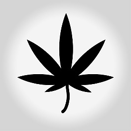 黑白楓葉