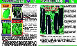 蔬菜彩页图片