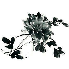 位圖 植物 花卉 優(yōu)雅植物 藝術(shù)效果 免費(fèi)素材