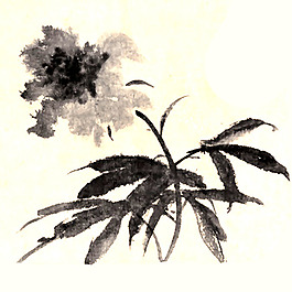 位圖 植物 花卉 優(yōu)雅植物 藝術(shù)效果 免費素材