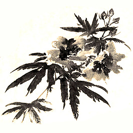 位圖 植物 花卉 優(yōu)雅植物 藝術(shù)效果 免費素材