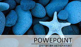 海星石頭ppt背景