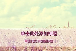麥田的守望ppt背景
