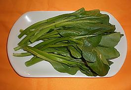青菜圖片