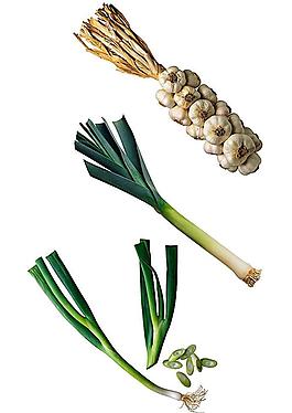 調(diào)味品圖片