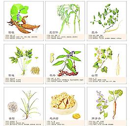 中藥畫框圖圖片