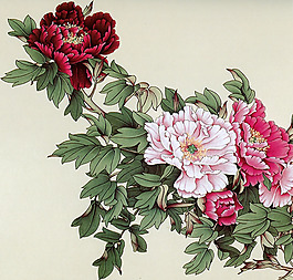 位圖 植物 花卉 優(yōu)雅植物 藝術(shù)效果 免費(fèi)素材