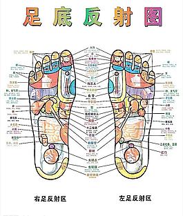 腳圖片