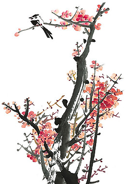位圖 植物 花卉 優(yōu)雅植物 藝術(shù)效果 免費素材