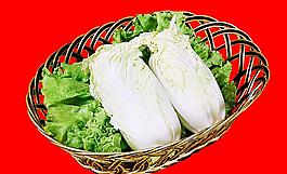 娃娃菜圖片