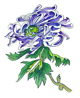 位圖 植物 花卉 優(yōu)雅植物 藝術(shù)效果 免費(fèi)素材