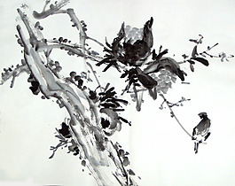 位圖 植物 石榴 優(yōu)雅植物 效果 免費(fèi)素材