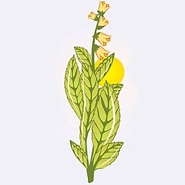 印花矢量圖 植物 花卉 優(yōu)雅植物 色彩 免費(fèi)素材