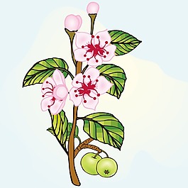 印花矢量圖 植物 花卉 優(yōu)雅植物 色彩 免費(fèi)素材