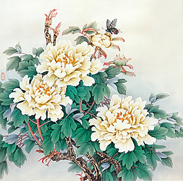 位圖 植物 花卉 優(yōu)雅植物 牡丹花 免費(fèi)素材