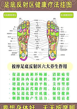 脚底按摩,替代医学免费可商用足部穴位图全息爽健 足部护理全息足部